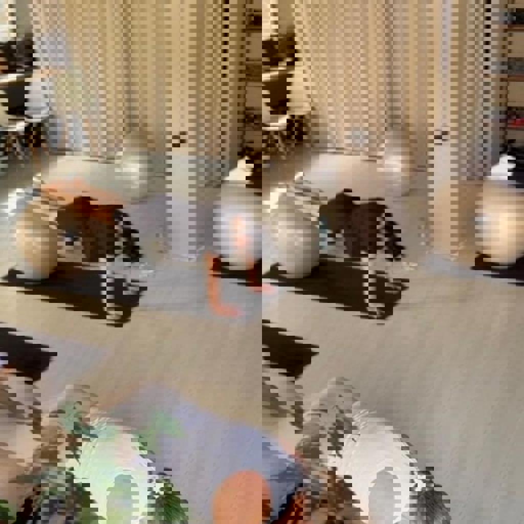 Изображение Whatsapp 2024 09 19 В 14.12.39 4D7660b0